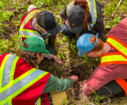 Soil Classification 2